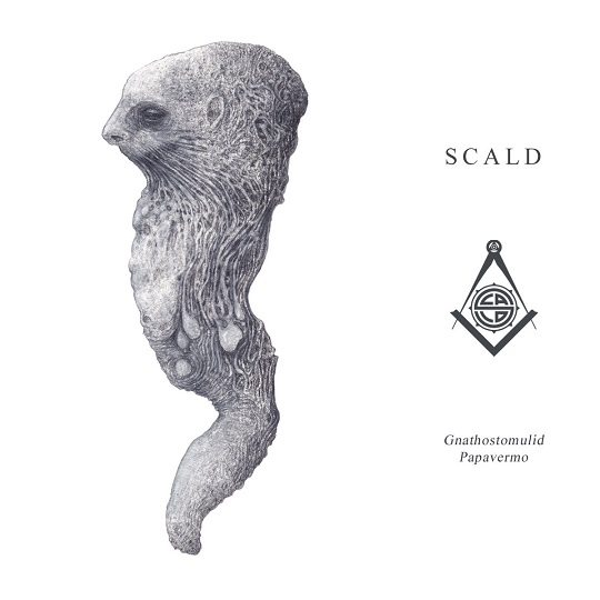 SCALD - Gnathostomulid Papavermo cover 