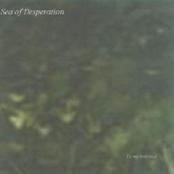 SEA OF DESPERATION - To My Beloved... cover 