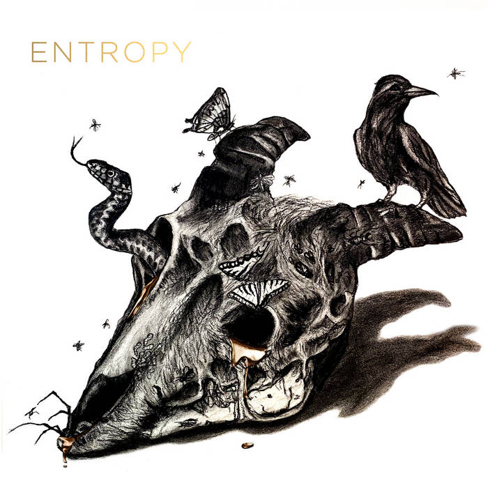 SEEKING TRAGEDY - Entropy cover 