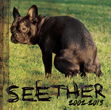 SEETHER - Seether: 2002-2013 cover 