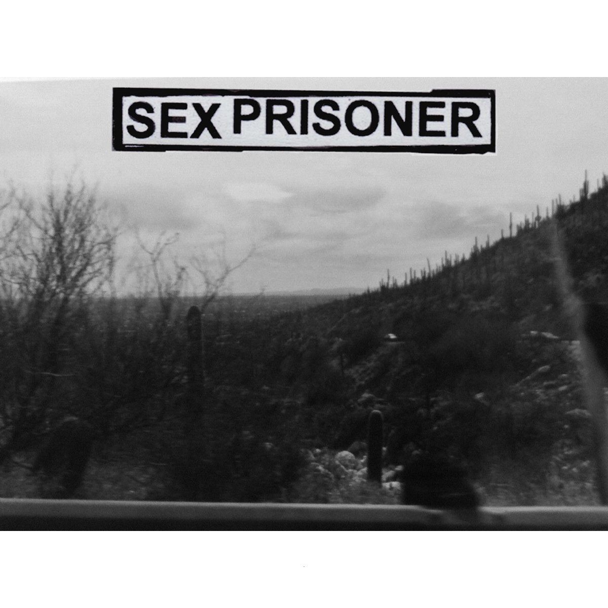 SEX PRISONER - Bottom Of The Map cover 