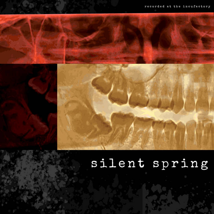 SILENT SPRING - Silent Spring cover 