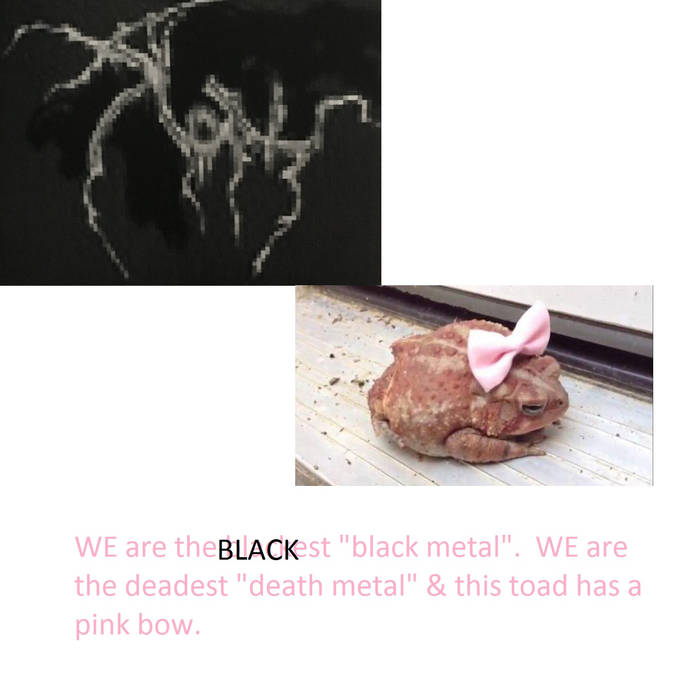 SLOTH - We R The Blackest BLKMTL & We R The Deadest Death-metal & This Toad Is Wearing A Pink Bow. cover 