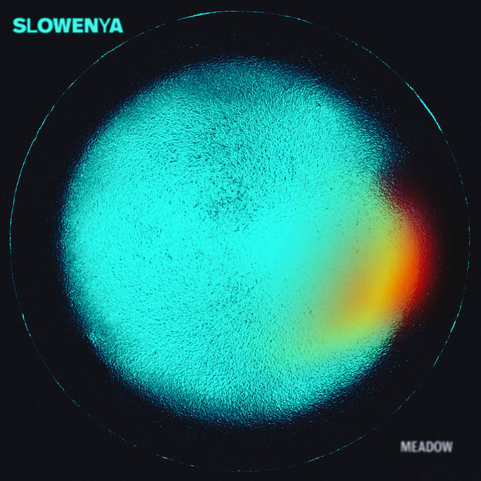 SLOWENYA - Meadow cover 