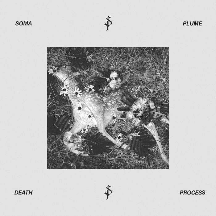 SOMA PLUME - Death Process cover 