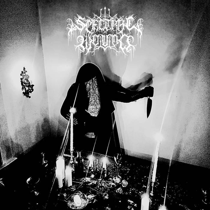 SPECTRAL WOUND - Songs of Blood and Mire cover 