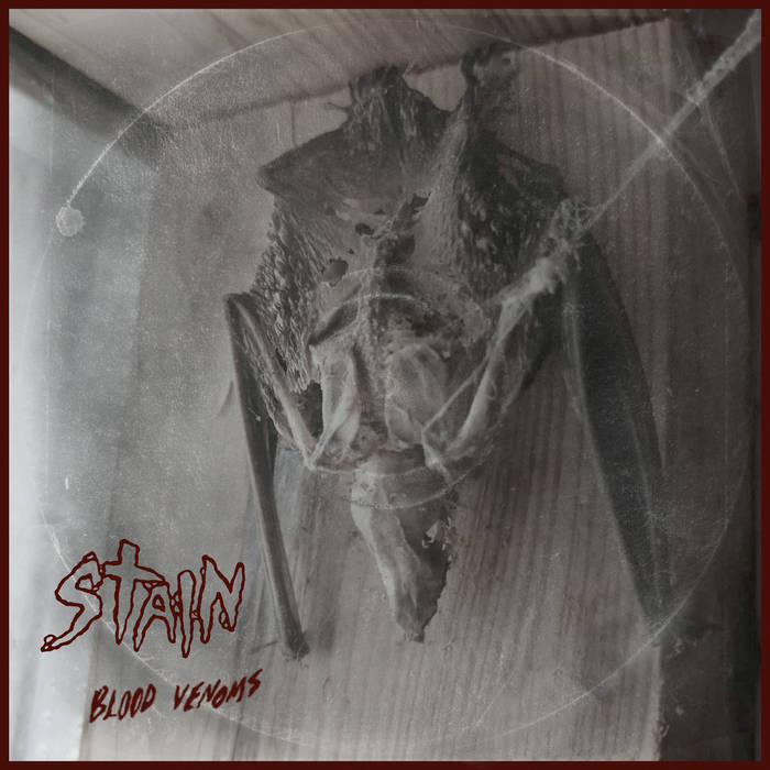 STAIN - Peine Kapital / Stain cover 