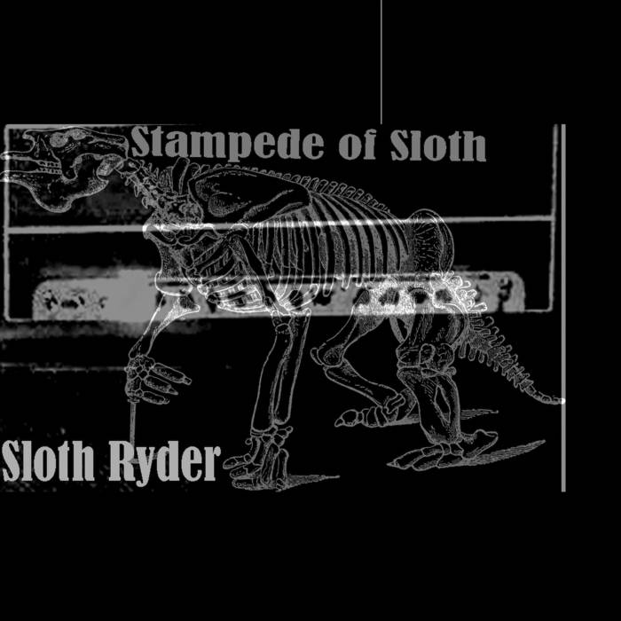 STAMPEDE OF SLOTH - Sloth Ryder cover 