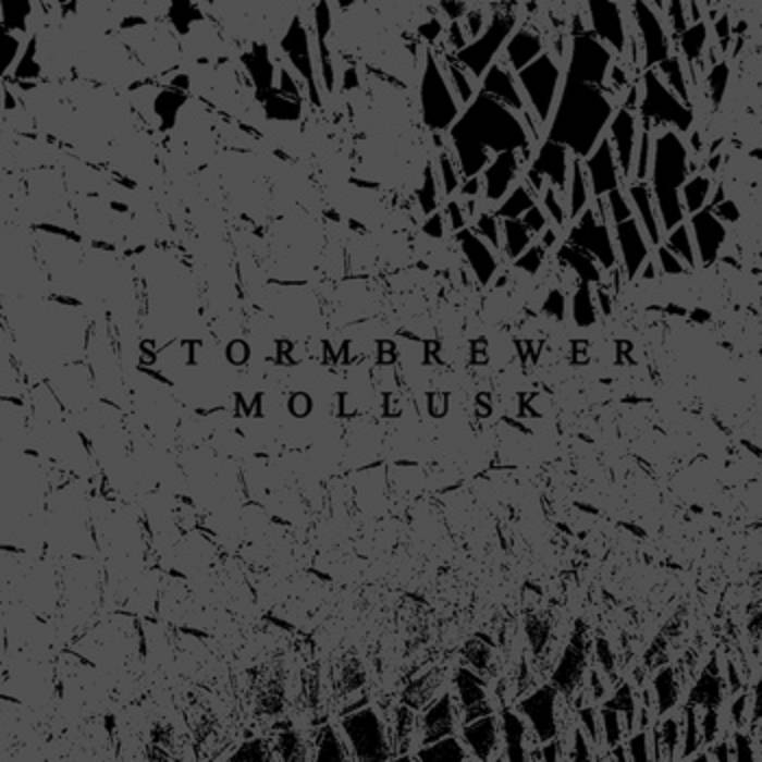 STORMBREWER - Mollusk / Stormbrewer cover 