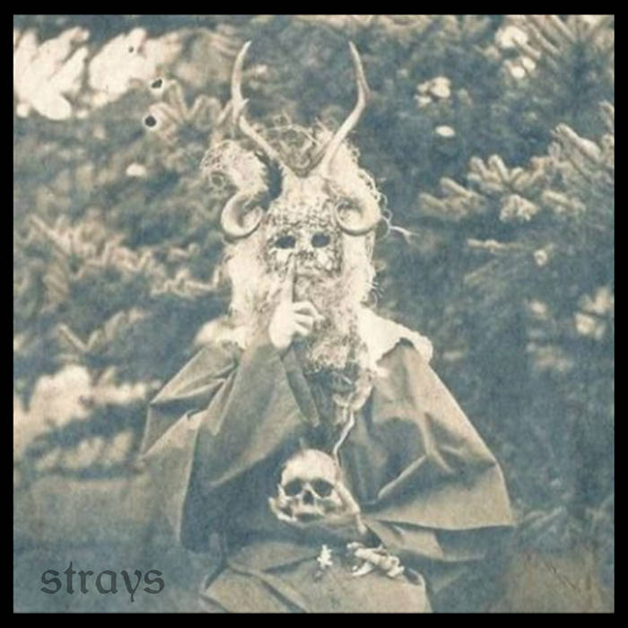 STRAYS - Smoker cover 