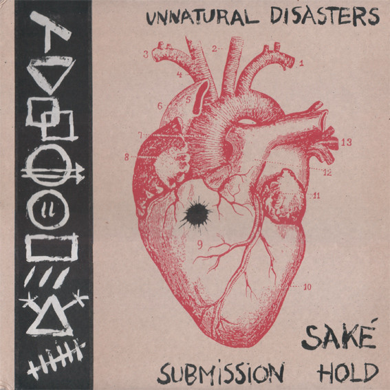 SUBMISSION HOLD - Unnatural Disasters cover 