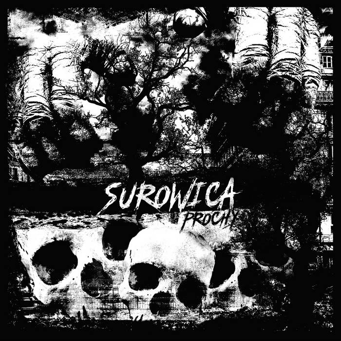 SUROWICA - Prochy cover 