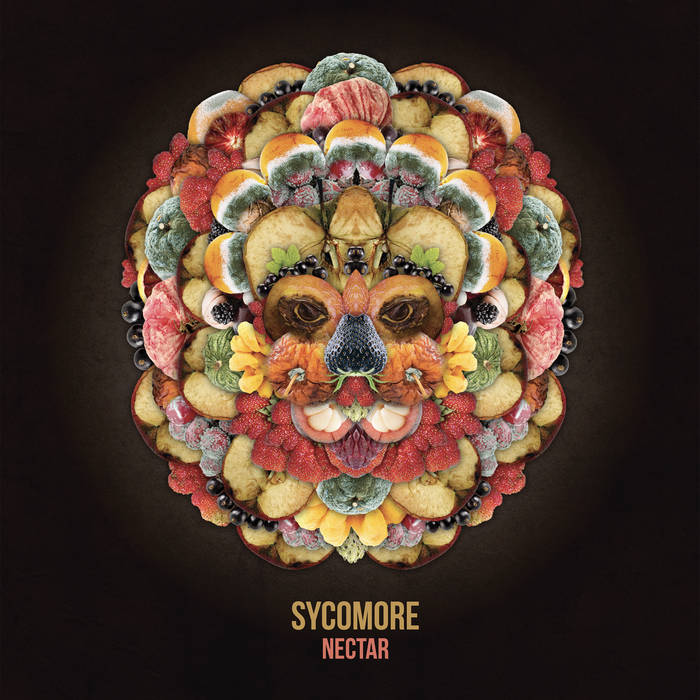 SYCOMORE - Nectar cover 