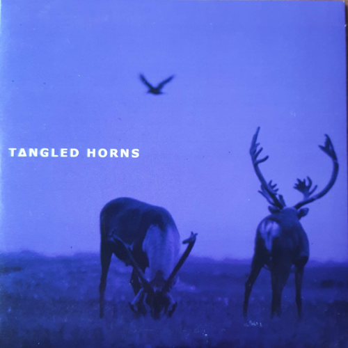 TANGLED HORNS - Tangled Horns cover 