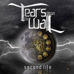 TEARS DOWN THE WALL - Second Life cover 