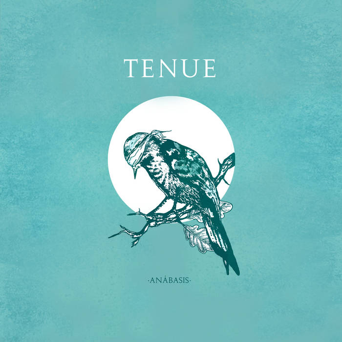 TENUE - An​á​basis cover 