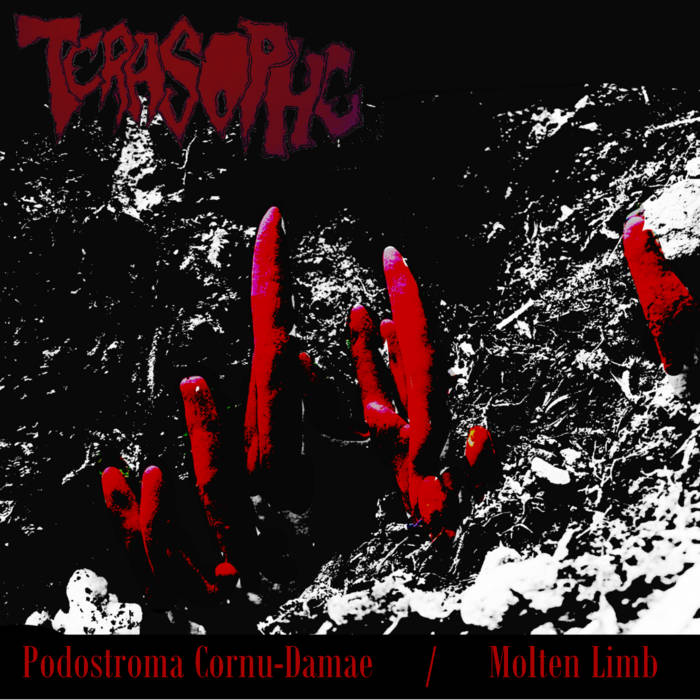 TERASOPHE - P.Cornu-Damae/Molten Limb cover 