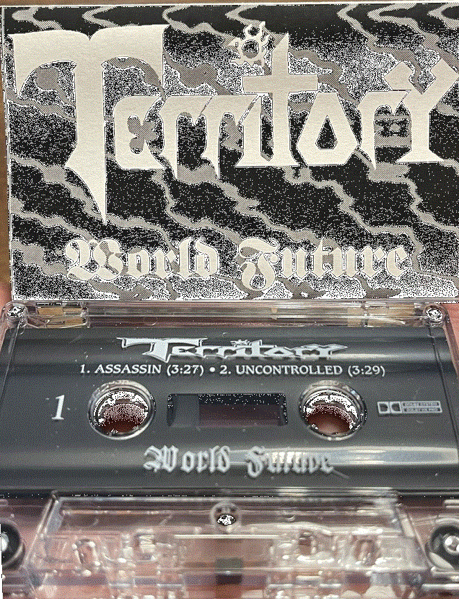 TERRITORY (TX) - World Future cover 