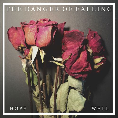 THE DANGER OF FALLING - Hope / Well cover 