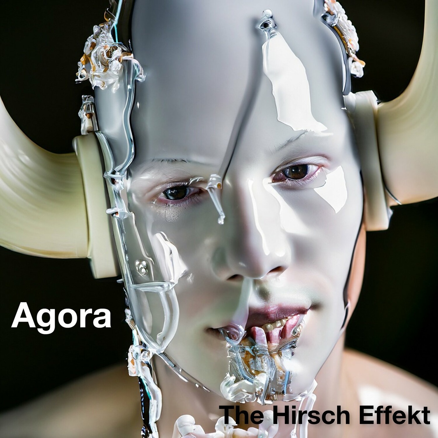 THE HIRSCH EFFEKT - Agora cover 