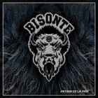 BISONTE (AR-B) Patada En La Piña album cover