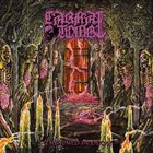 CARNAL TOMB Embalmed In Decay album cover