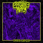 GROANING RETCH Blended With Bile album cover