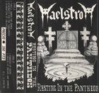 MAELSTROM Resting in the Pantheon album cover