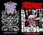 PUTRIDARIUM Ancient Death / Putridarium Split album cover