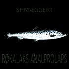 SHMÆGGERT Røkalaks Analprolaps album cover