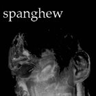 SPANGHEW Spanghew Demos album cover