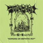 STENCHED Gorging on Mephitic Rot album cover