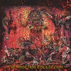 TERRORPY The Bisection Collection album cover