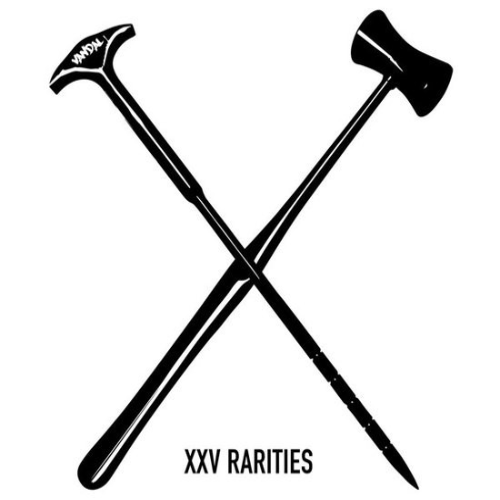 VANDAL X - XXV Rarities cover 