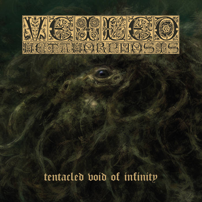 VEILED METAMORPHOSIS - Tentacled Void Of Infinity cover 