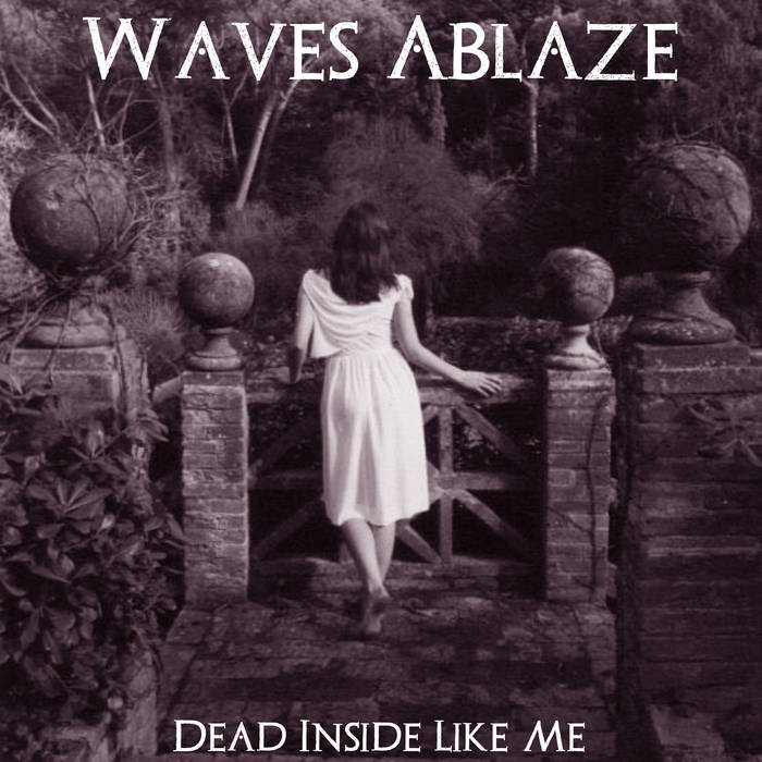 WAVES ABLAZE - Dead Inside Like Me cover 