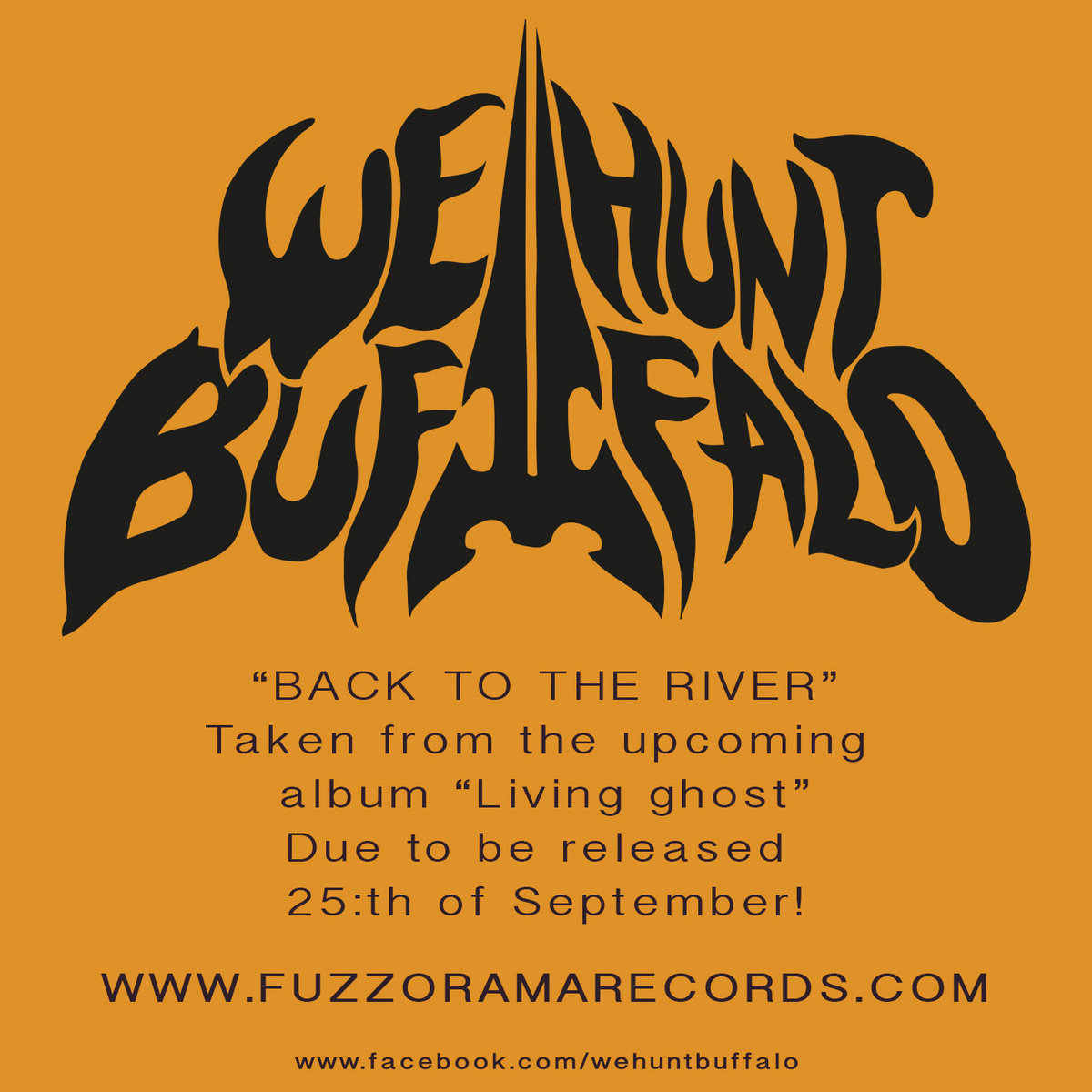 WE HUNT BUFFALO - Back To The River cover 