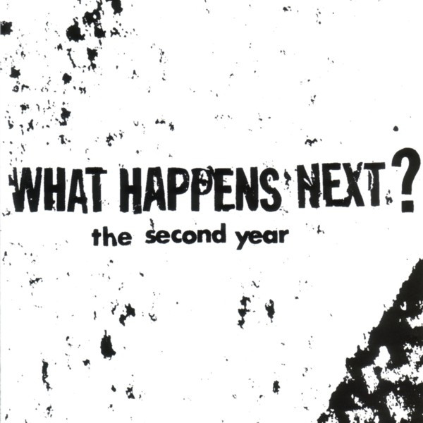 WHAT HAPPENS NEXT? - The Second Year cover 