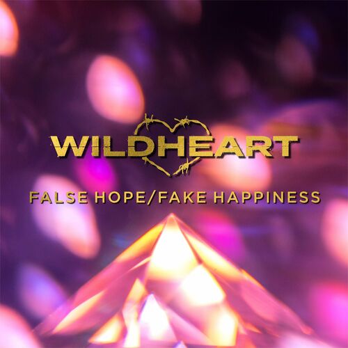 WILDHEART - False Hope / Fake Happiness cover 