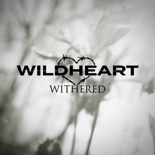 WILDHEART - Withered cover 