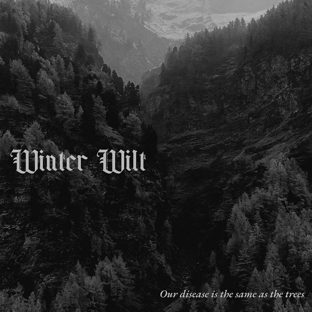 WINTER WILT - Our Disease Is The Same As The Trees cover 