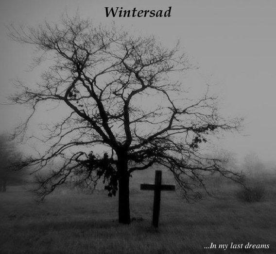 WINTERSAD - ...in My Last Dreams cover 