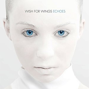 WISH FOR WINGS - Echoes cover 