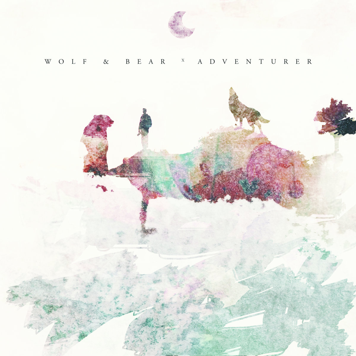 WOLF & BEAR - Wolf & Bear X Adventurer cover 