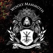 WOOLY MAMMOTH - The Temporary Nature cover 