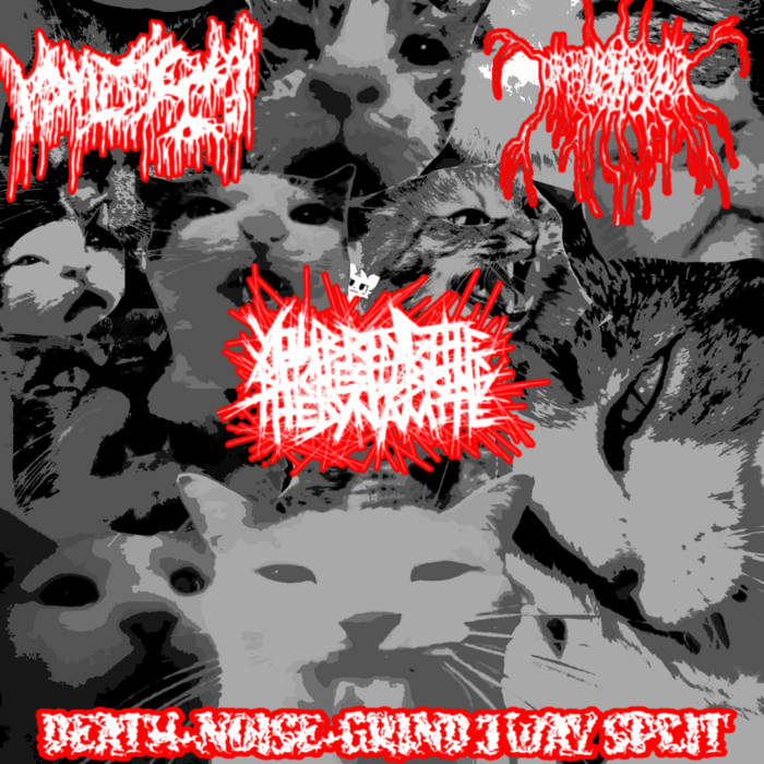 YOU BRING THE BITCHES ILL BRING THE DYNAMITE - Death​+​Noise​+​Grind 3 Way Split cover 