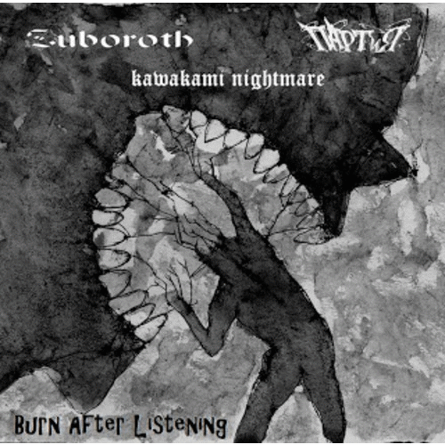 ZUBOROTH - Burn After Listening cover 