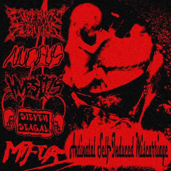 МИФЮР - Antinatal Self-Induced Miscarriage - 5 Way Split cover 